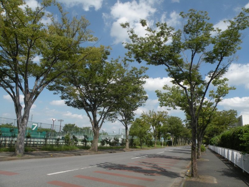 坂戸市運動公園