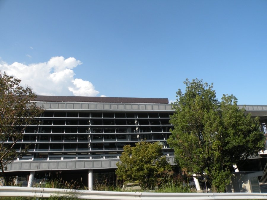 大東文化大学