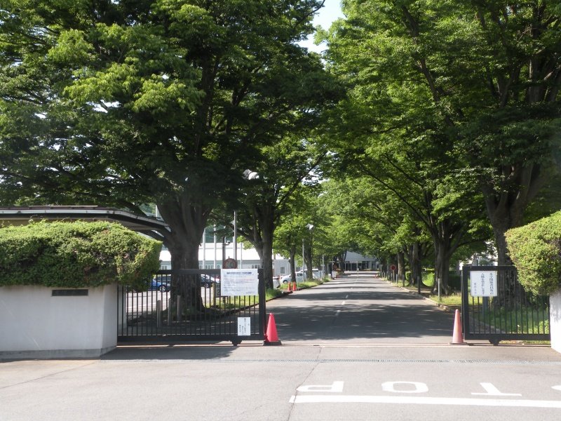 東洋大学