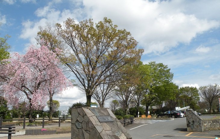 芦山公園