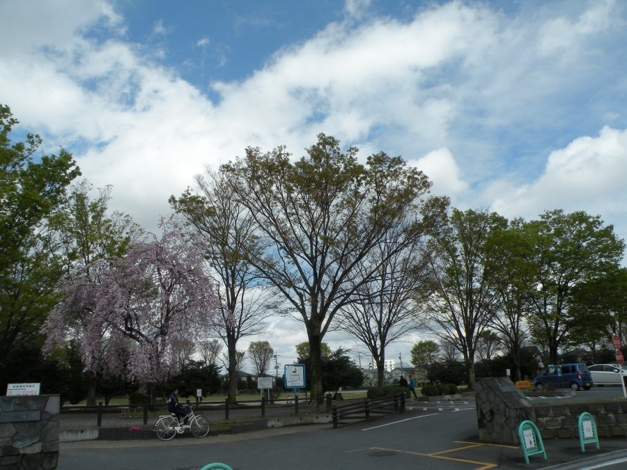 芦山公園